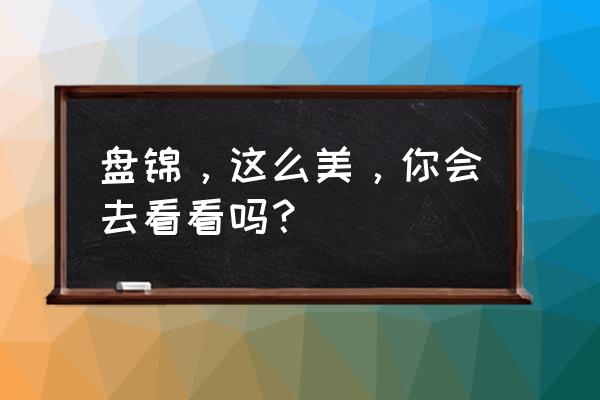 旅游盘锦哪里最好 盘锦，这么美，你会去看看吗？