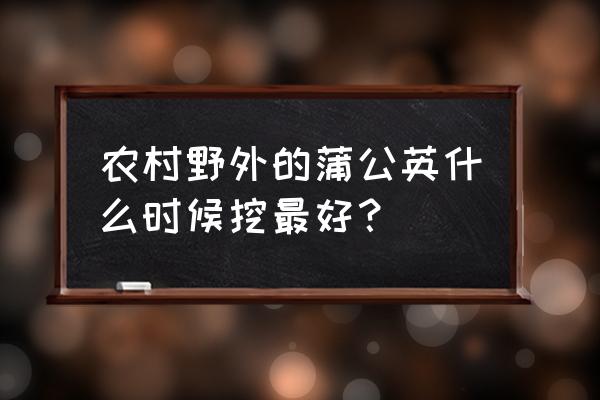 复方明矾洗剂说明书 农村野外的蒲公英什么时候挖最好？