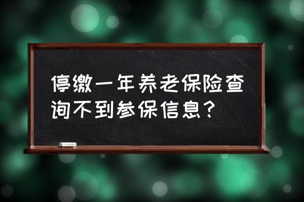 养老保险参保情况一栏如何填写 停缴一年养老保险查询不到参保信息？