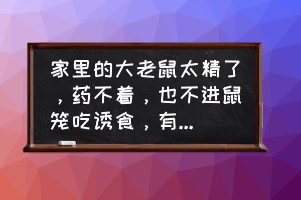 衣柜里放啥可以驱赶老鼠 家里的大老鼠太精了，药不着，也不进鼠笼吃诱食，有什么妙招？