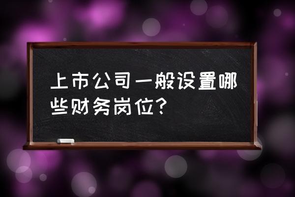 会计从哪几个方面开展自己的工作 上市公司一般设置哪些财务岗位？