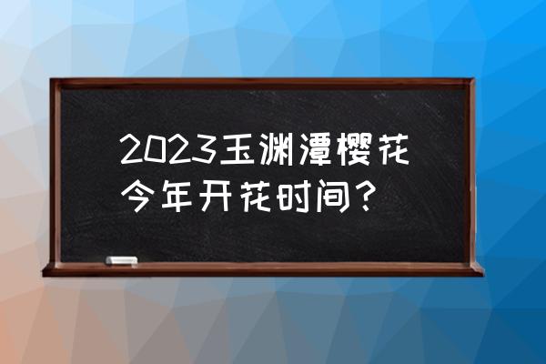 樱花品种开花顺序 2023玉渊潭樱花今年开花时间？