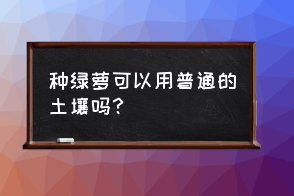 洗衣液瓶酸奶瓶制作小动物花瓶 种绿萝可以用普通的土壤吗？