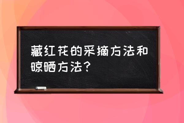 刚采摘的藏红花怎么处理 藏红花的采摘方法和晾晒方法？