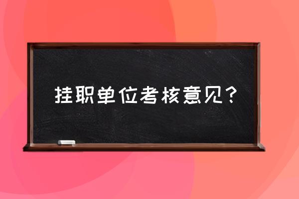 单位考核意见怎么写 挂职单位考核意见？