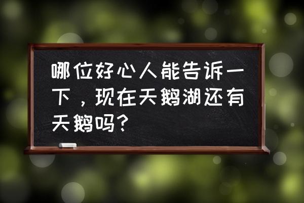 东营天鹅湖风景区收费吗 哪位好心人能告诉一下，现在天鹅湖还有天鹅吗？