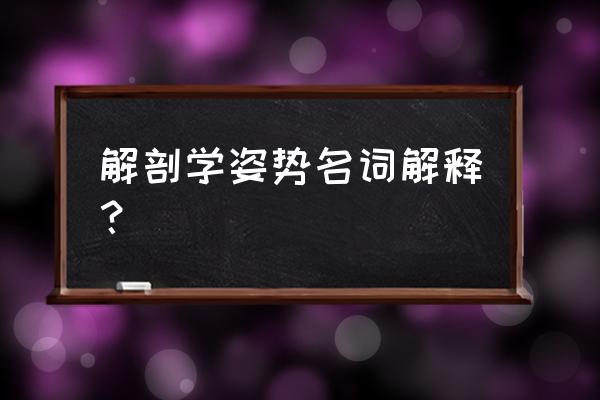 解剖学姿势 解剖学姿势名词解释？