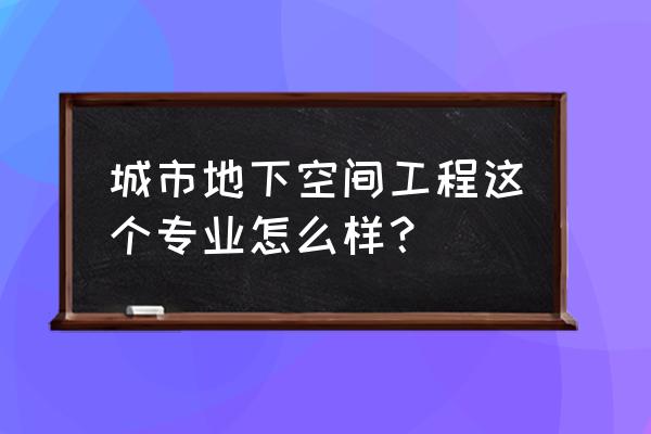 地下铁道解说全集 城市地下空间工程这个专业怎么样？