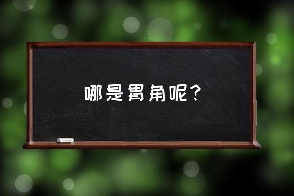 胃分成哪四个部分 哪是胃角呢？