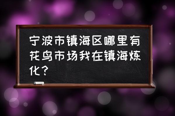 镇海招宝山门票老人免费吗 宁波市镇海区哪里有花鸟市场我在镇海炼化？