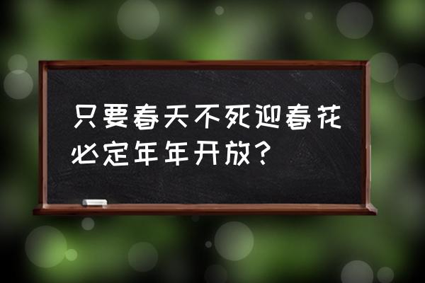 春天都有什么花在开放 只要春天不死迎春花必定年年开放？