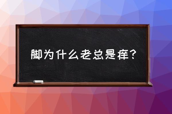 脚边痒痒是怎么回事 脚为什么老总是痒？