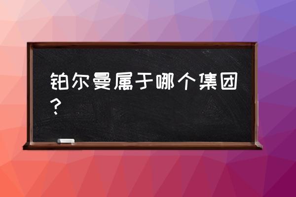 雅高控股的上市代码 铂尔曼属于哪个集团？