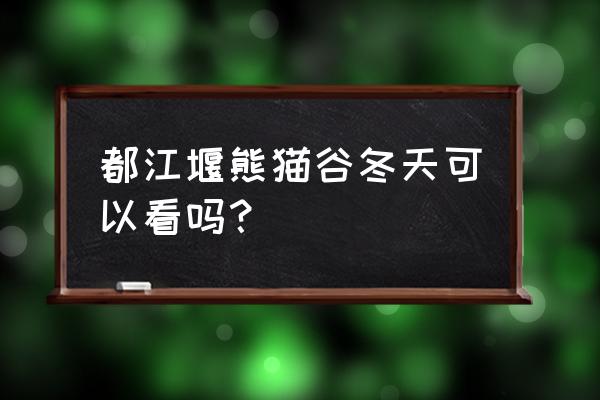 都江堰熊猫基地可以抱熊猫 都江堰熊猫谷冬天可以看吗？