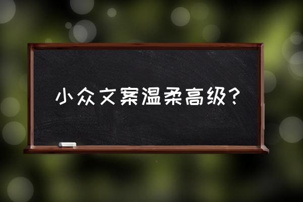 不会烂大街的小众文案 小众文案温柔高级？