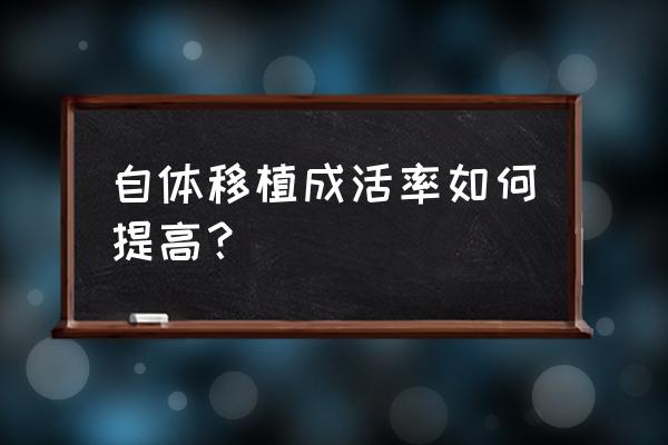 自体脂肪移植效果 自体移植成活率如何提高？