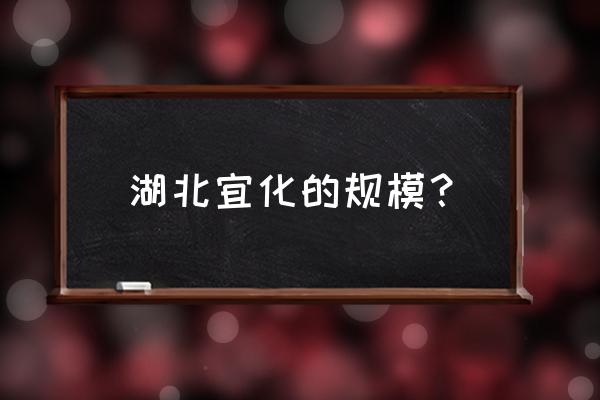 湖北双环 湖北宜化的规模？