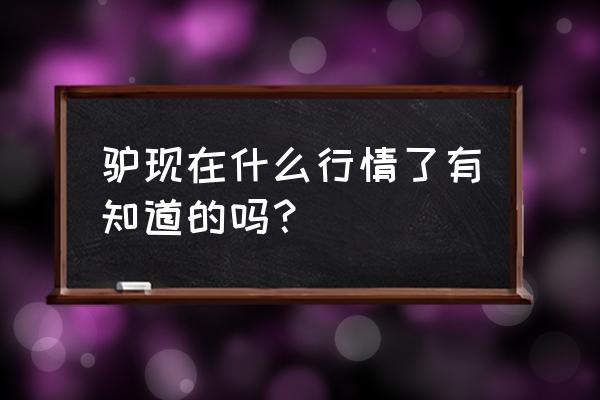 驴皮多少钱一斤 驴现在什么行情了有知道的吗？