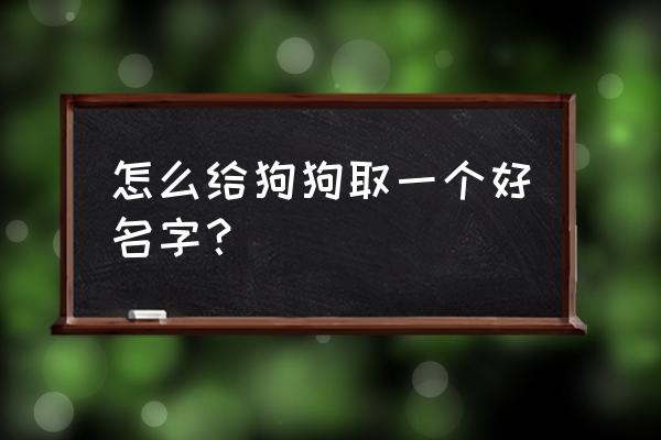 结实土气的小名 怎么给狗狗取一个好名字？