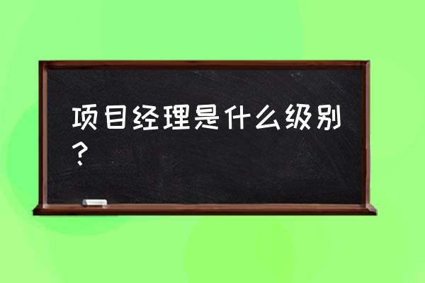 项目经理 项目经理是什么级别？