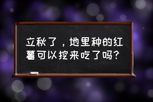 立秋时节感言简短 立秋了，地里种的红薯可以挖来吃了吗？