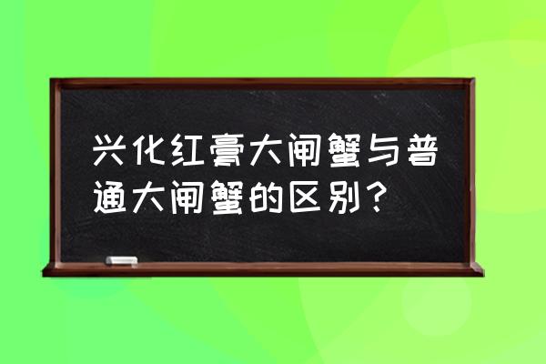 江苏兴化为啥名气大 兴化红膏大闸蟹与普通大闸蟹的区别？