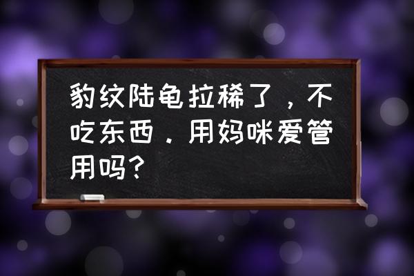 豹纹龟价格 豹纹陆龟拉稀了，不吃东西。用妈咪爱管用吗？