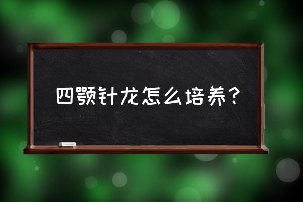 面部提升针 四颚针龙怎么培养？