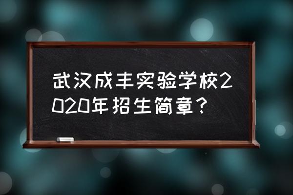 给武汉小朋友的一封信简短 武汉成丰实验学校2020年招生简章？