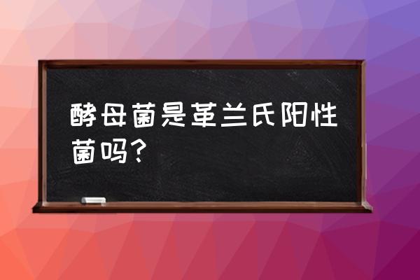 革兰阳性菌 酵母菌是革兰氏阳性菌吗？