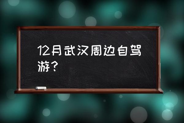 罗田森林公园 12月武汉周边自驾游？