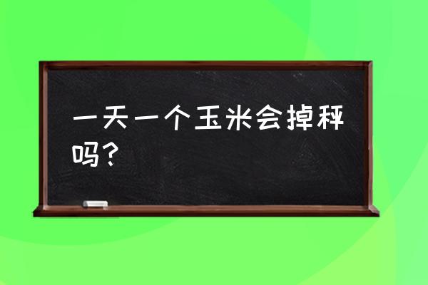 玉米能天天吃吗 一天一个玉米会掉秤吗？