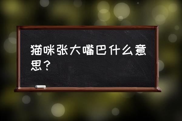 一直打哈欠是神跟着的吗 猫咪张大嘴巴什么意思？