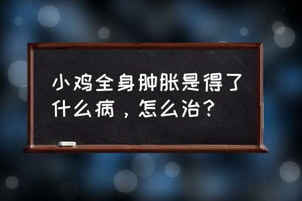 全身浮肿是什么原因造成的 小鸡全身肿胀是得了什么病，怎么治？