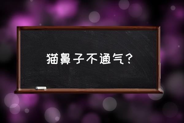 鼻子长期不通气鼻塞怎么办 猫鼻子不通气？