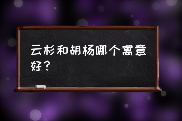 云杉 云杉和胡杨哪个寓意好？