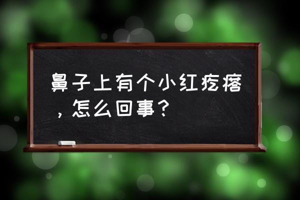 鼻子上起红疙瘩图片 鼻子上有个小红疙瘩，怎么回事？