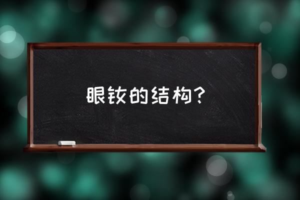 眼的结构 眼眦的结构？