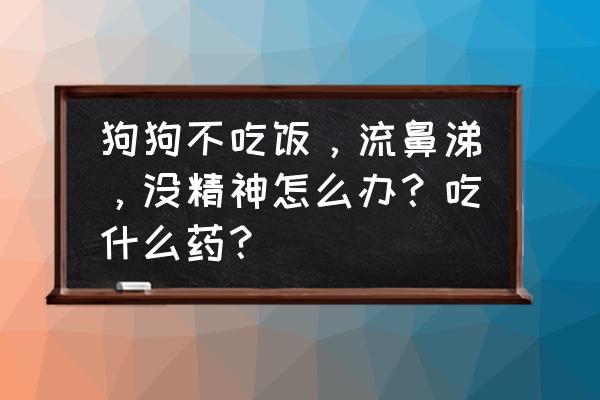 一吃饭就流鼻涕有办法解决吗 狗狗不吃饭，流鼻涕，没精神怎么办？吃什么药？