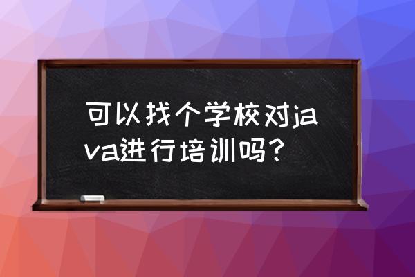 王道码农训练营 可以找个学校对java进行培训吗？