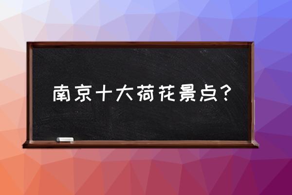 西埂莲乡小产权房出售 南京十大荷花景点？