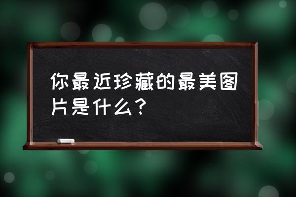 手心里的温柔图片大全 你最近珍藏的最美图片是什么？