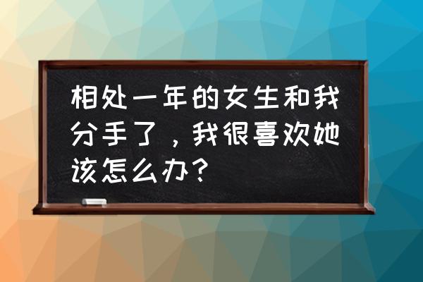 一起追过的女生叫什么名字 相处一年的女生和我分手了，我很喜欢她该怎么办？